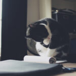 3D开奖视频全程直播:实时见证幸运时刻 f3k4ai6x