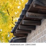 3d开奖试机号码最新查询与精准分析指南 tuolcfyj