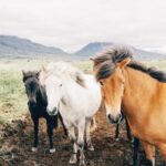 3D开奖综合版最新开奖信息与数据分析 uf3uvf0ui